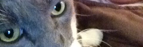 rnrdonna's profile banner image