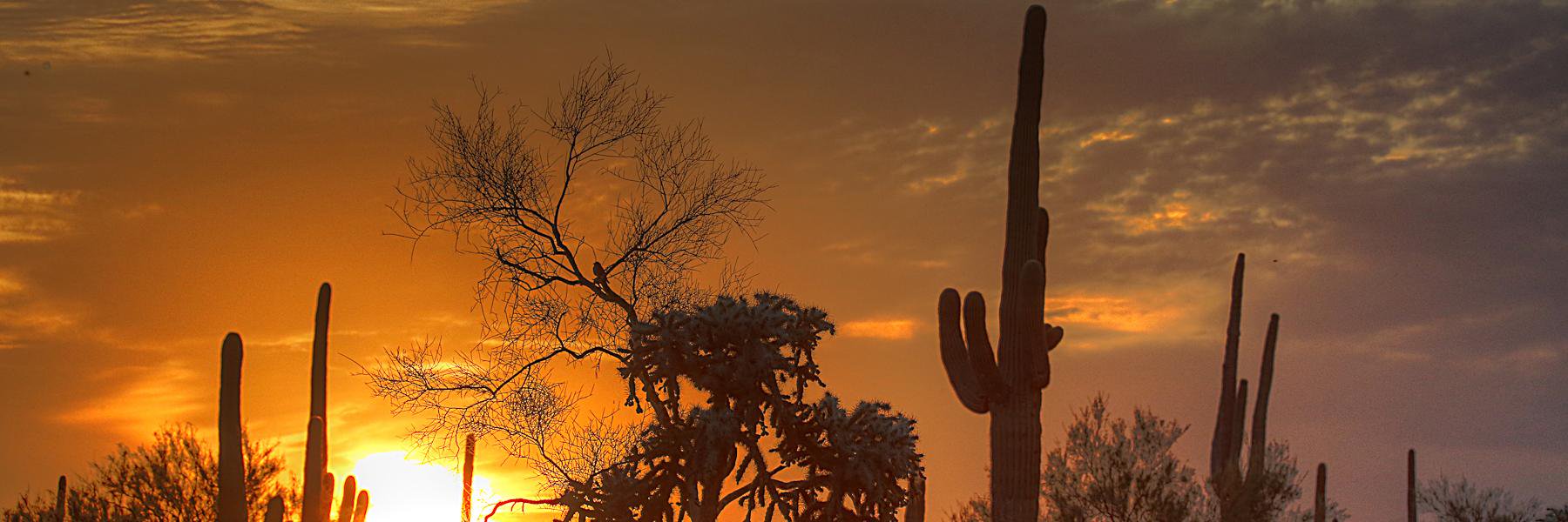NOESlut's profile banner image