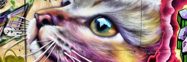 lamonamichi's profile banner image