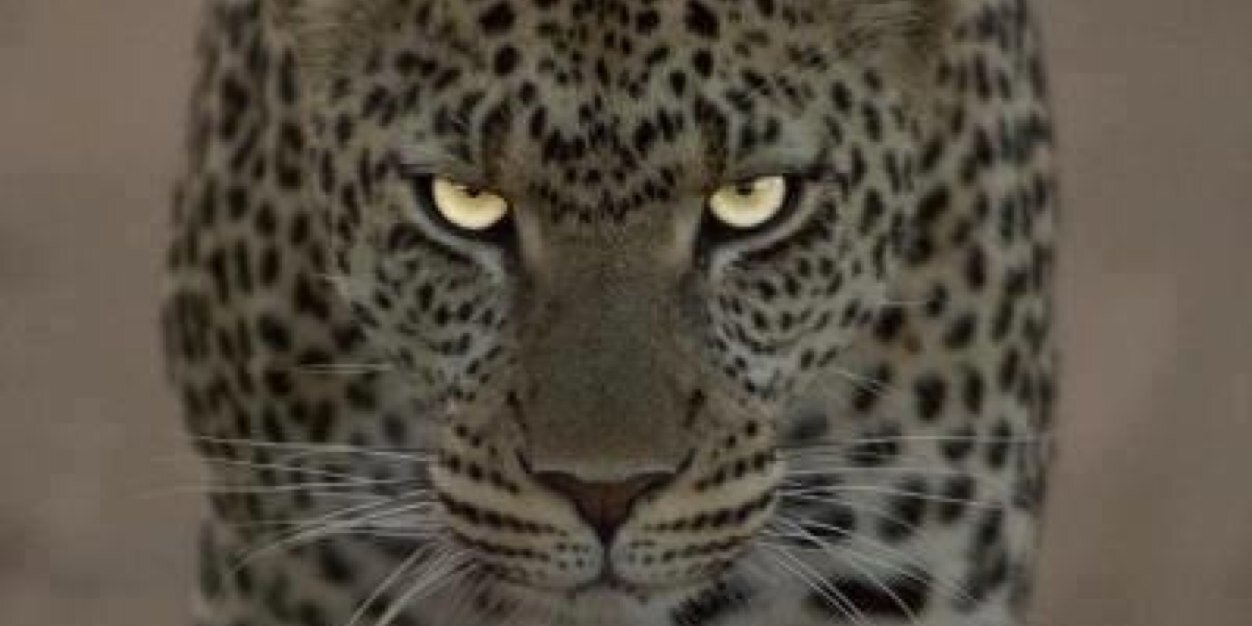 j0nesy79's profile banner image