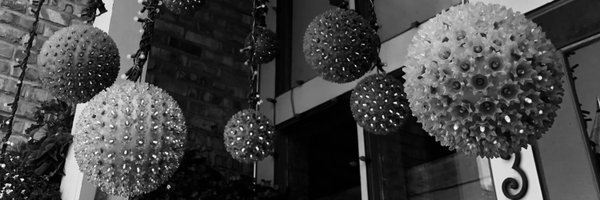 DaniWawryk Profile Banner