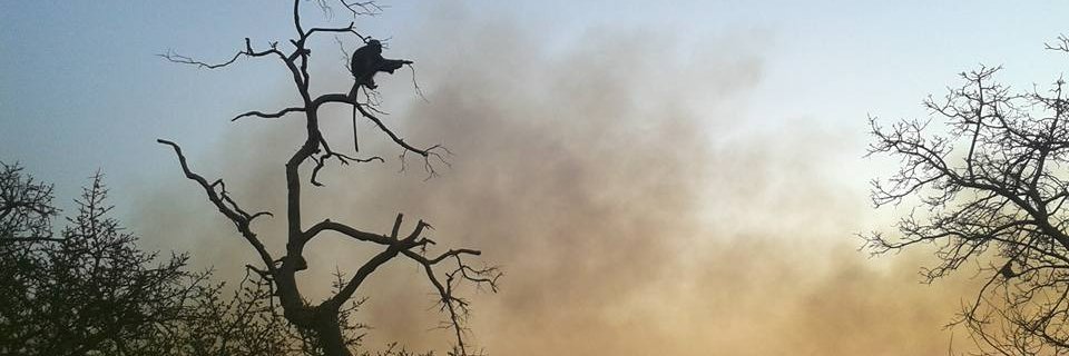 Janire Castellano, PhD banner