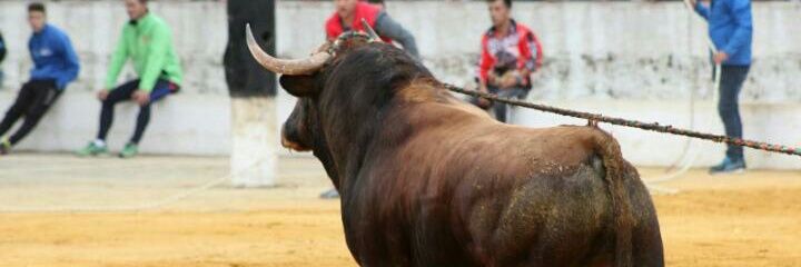 Marcos banner