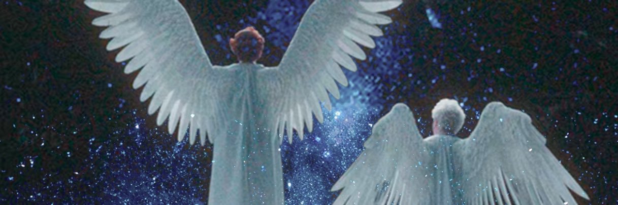 nvm banner