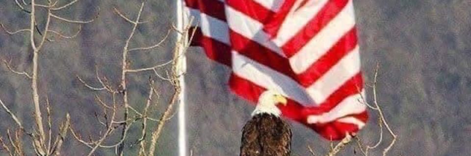 Richard Lewis banner