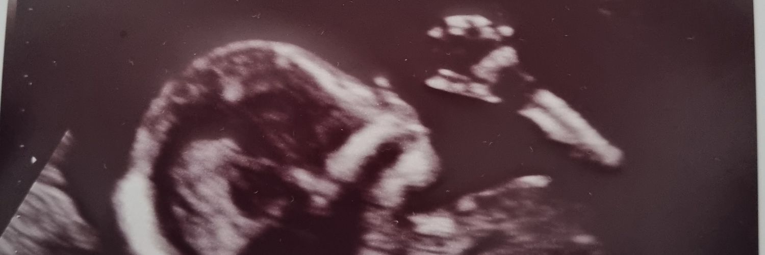 charli_fleming's profile banner image