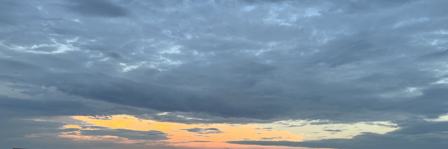 kimi banner