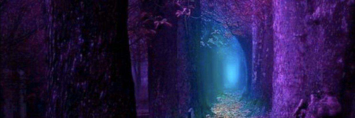 CharrismaAriel's profile banner image