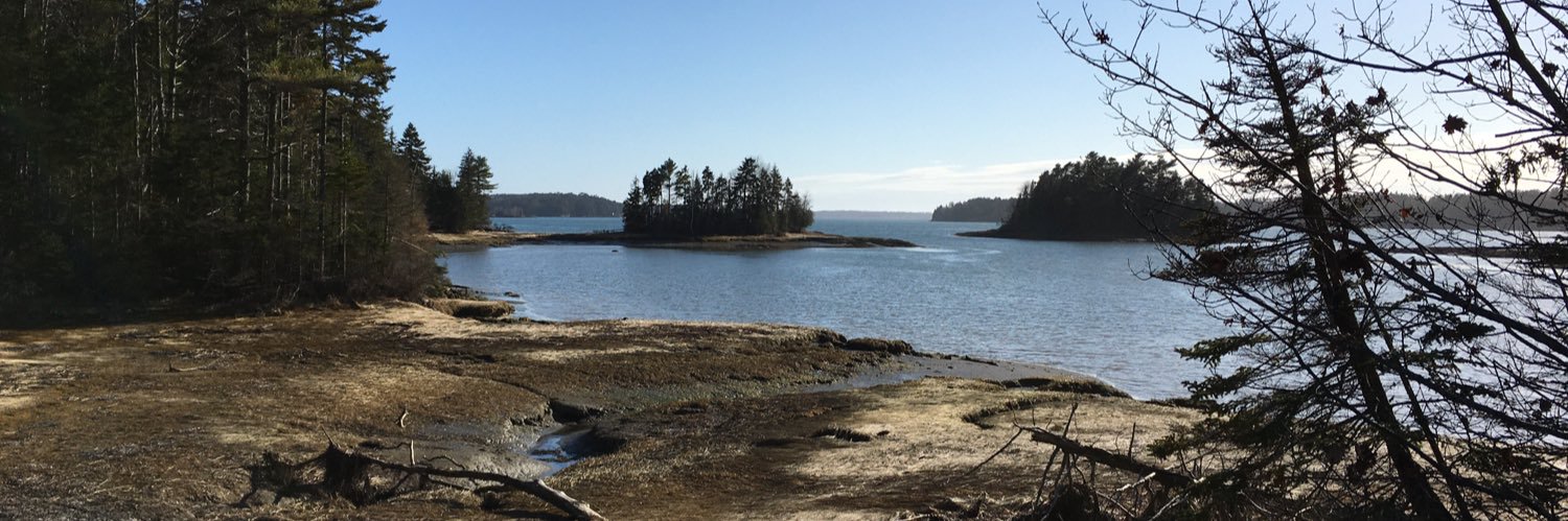 Carlene Byron banner