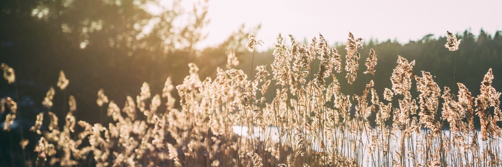 Matt The List banner