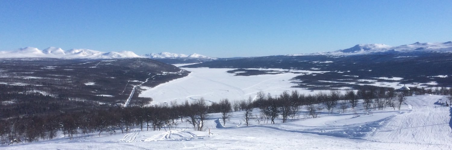 Andrew Strong banner