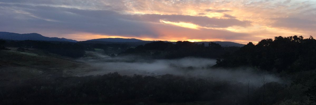 tvSTAR2015's profile banner image