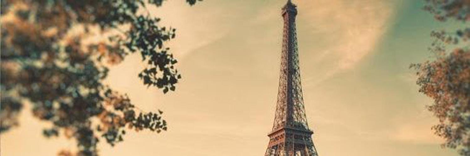 My Platonic Love ღ banner