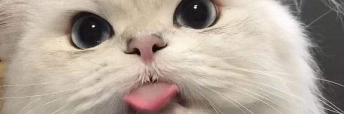 krepessoklat's profile banner image
