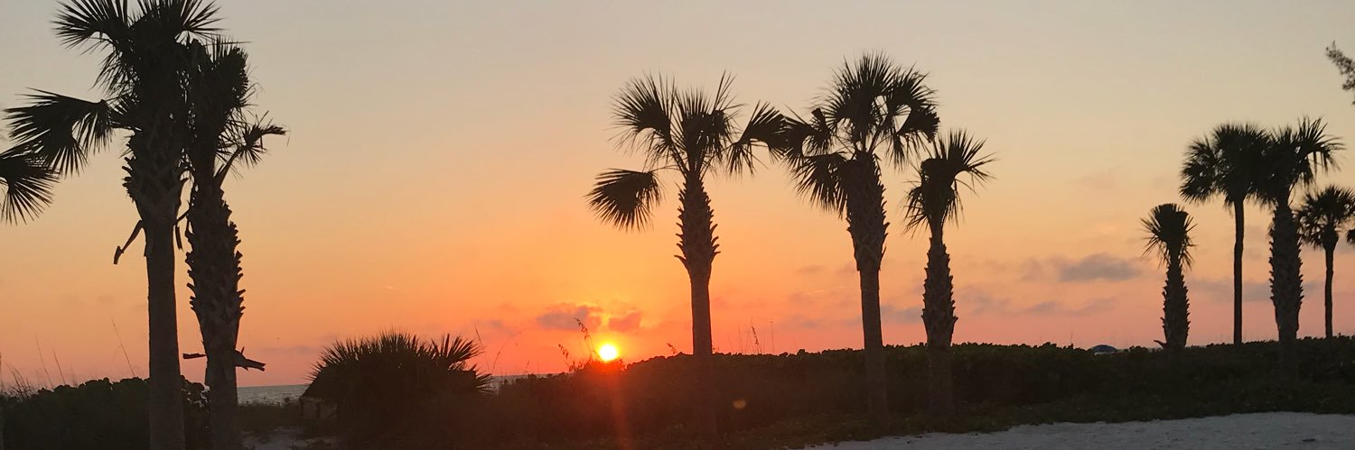 ChildressGracie's profile banner image