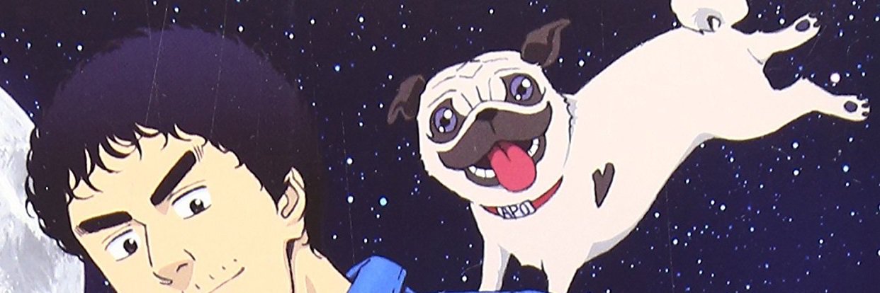 Yankeeboi333's profile banner image