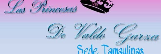 TDVGtamps's profile banner image