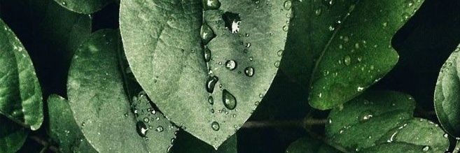 latenightspace's profile banner image