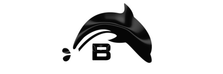 bvilledolphins's profile banner image