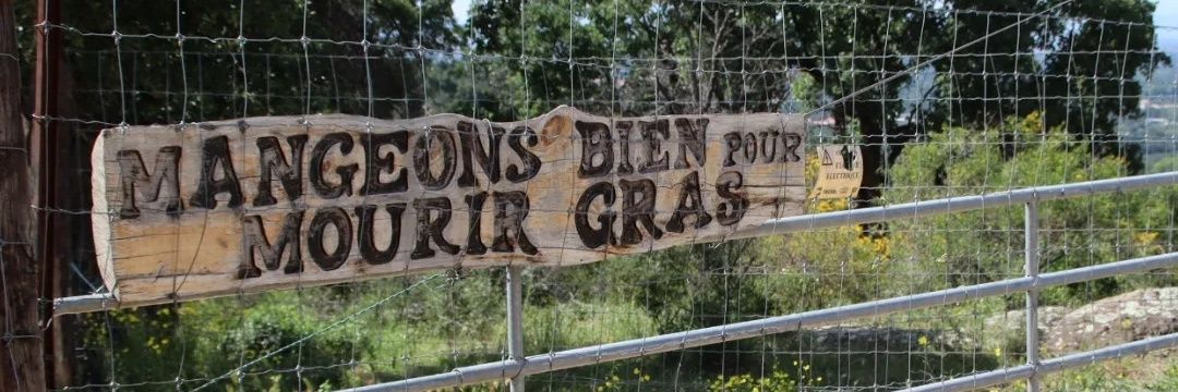 meretsoleil 🇨🇵🇫🇷🇫🇷 banner