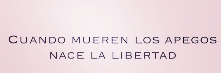 ROSARIO VELASCO HERNÁNDEZ banner