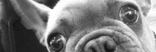 AustinBHHenley's profile banner image