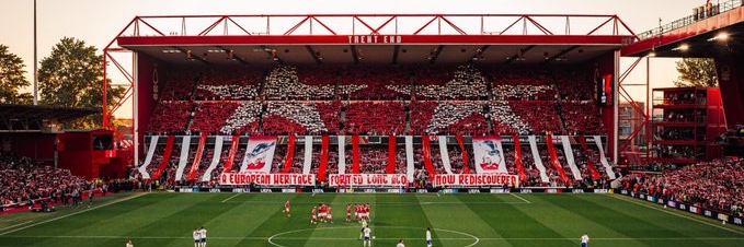 ForestFan 55 banner