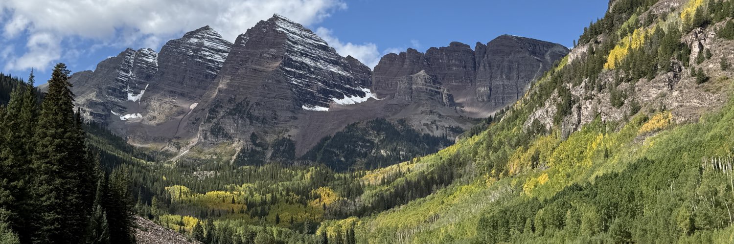 Ashley Michels banner