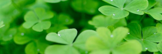 KelliFinegan's profile banner image