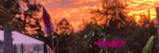 KV_9404's profile banner image