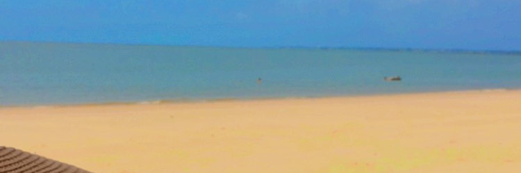 tatyleite2's profile banner image