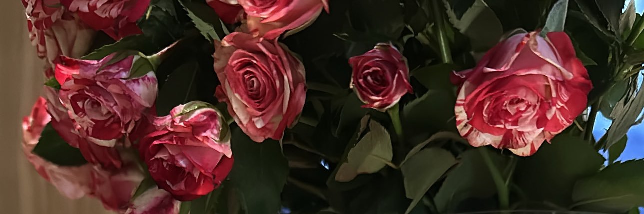 Algnobyh_'s profile banner image