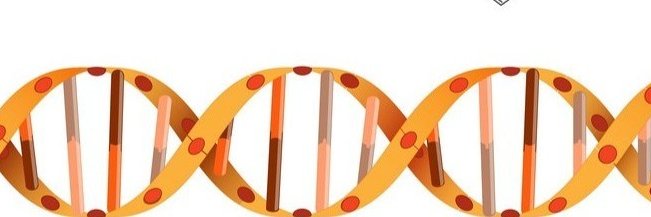 Mawuli K. Azameti banner