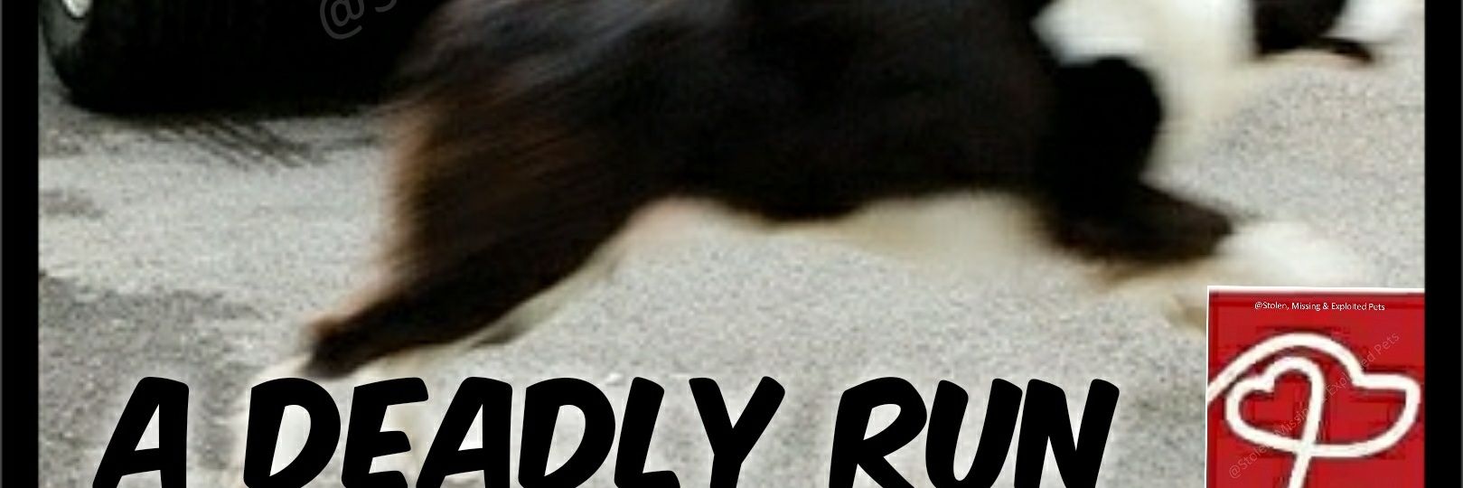 Stolen,  Missing banner