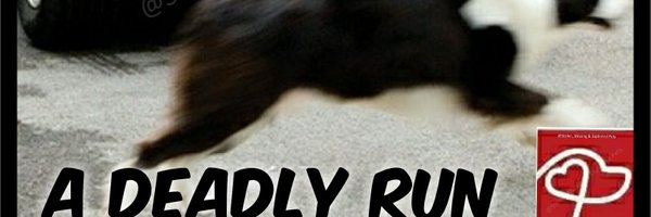 StolenMissing Profile Banner