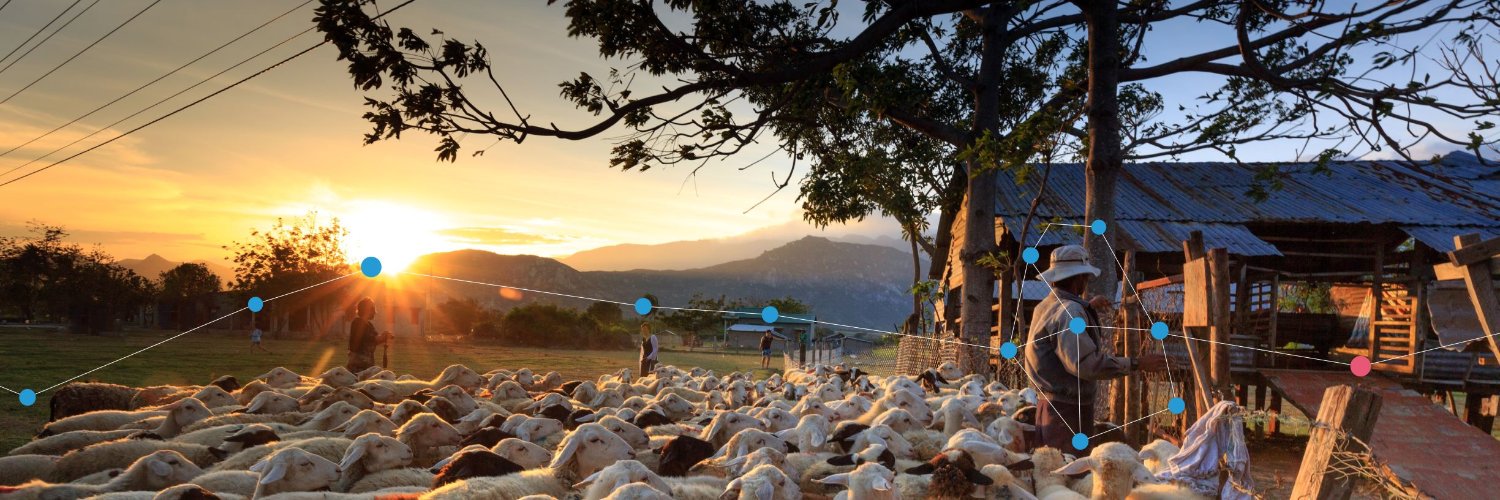 Professor Nick Watts banner