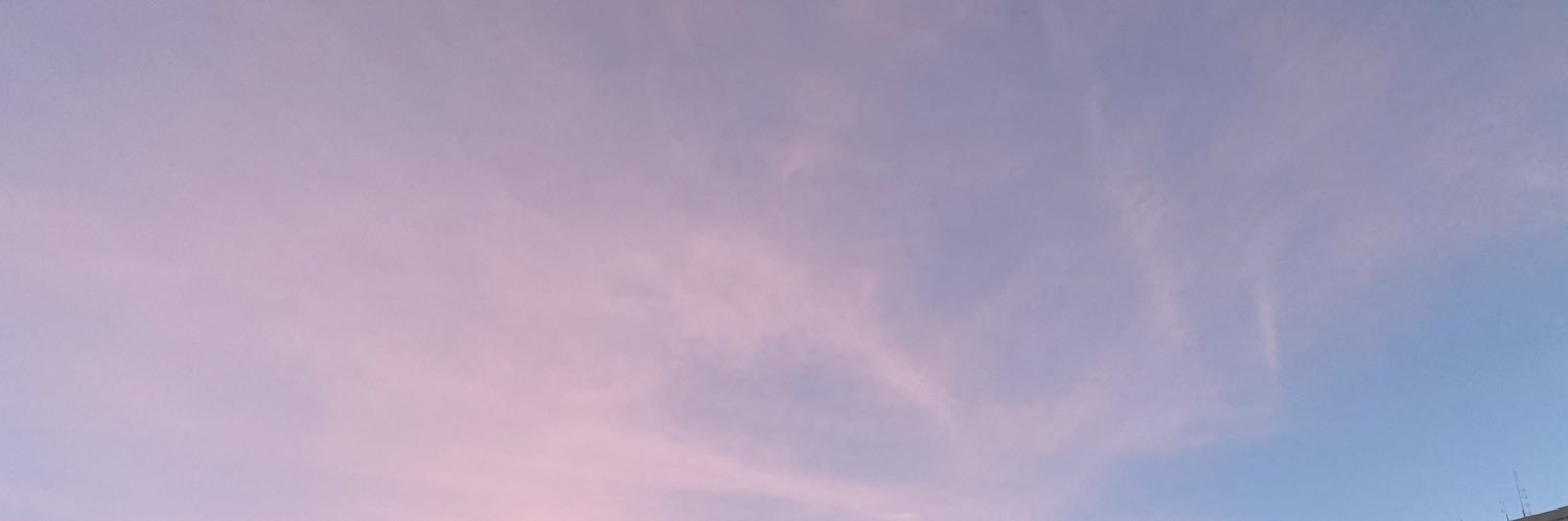 karleeschoff's profile banner image