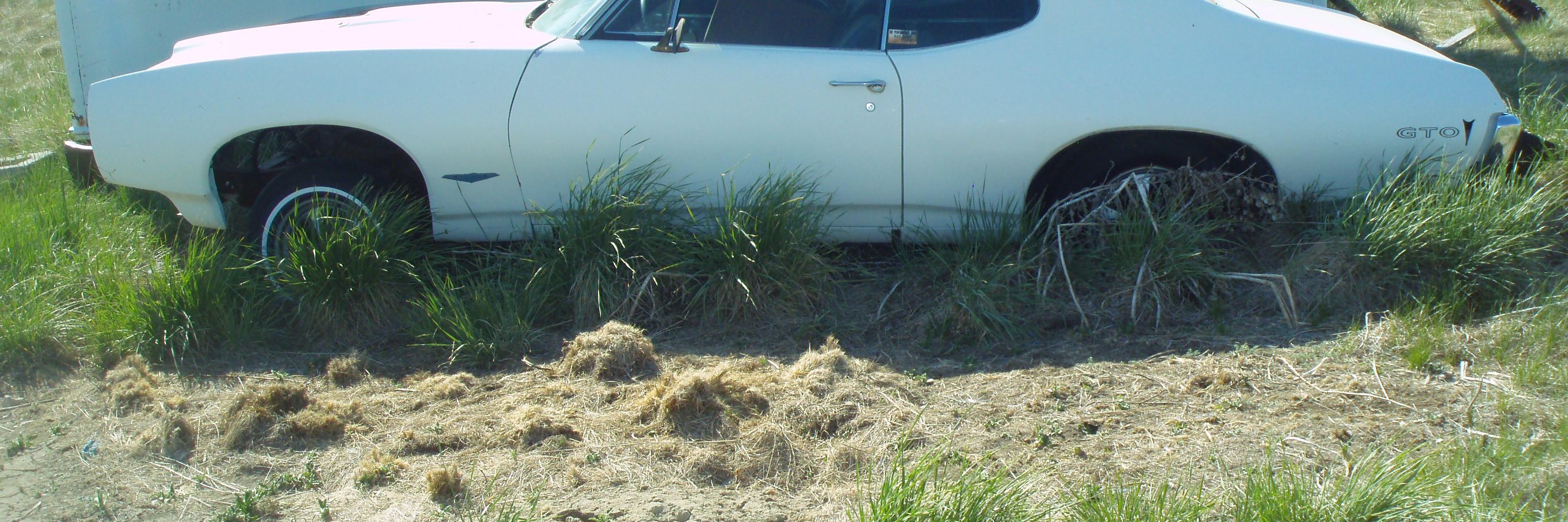 corey e w mayes banner