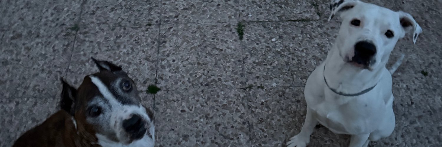 jxcamm17's profile banner image