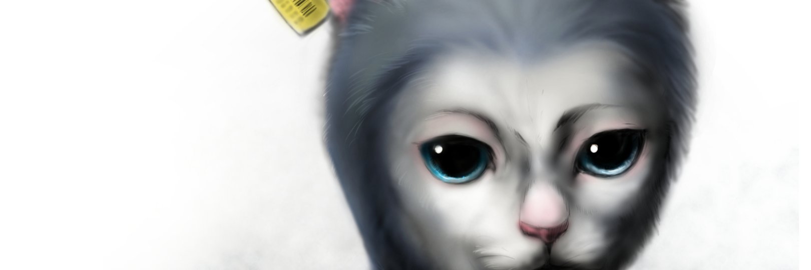 metaAKN's profile banner image