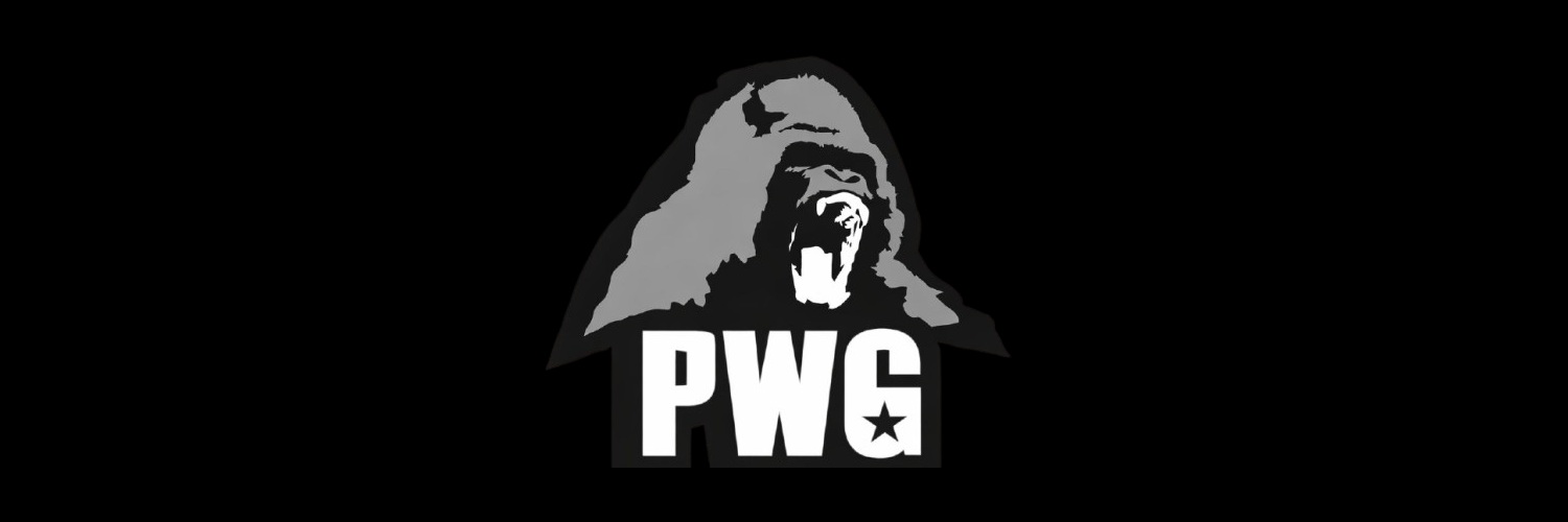 ProWarGuerrilla's profile banner image