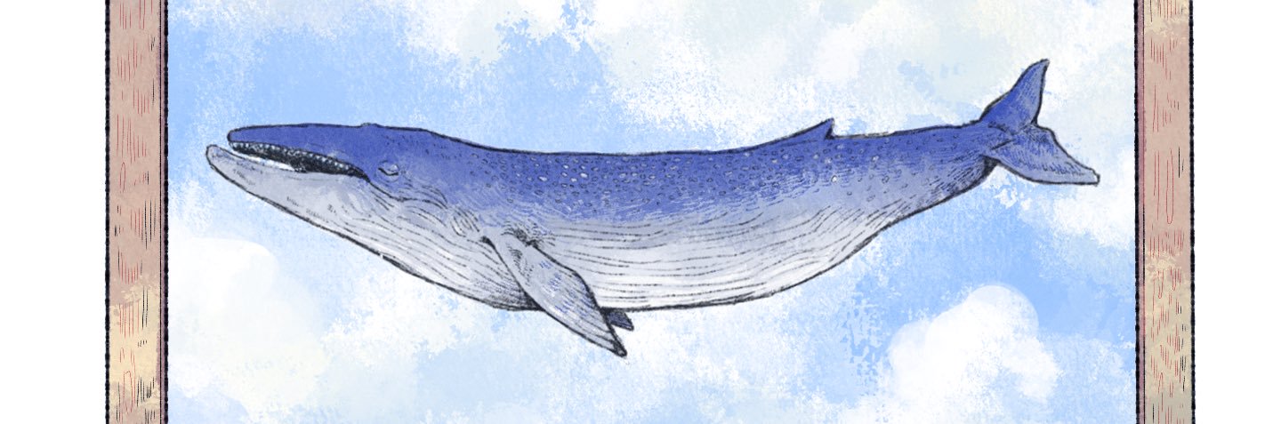 AquaTheRotten's profile banner image