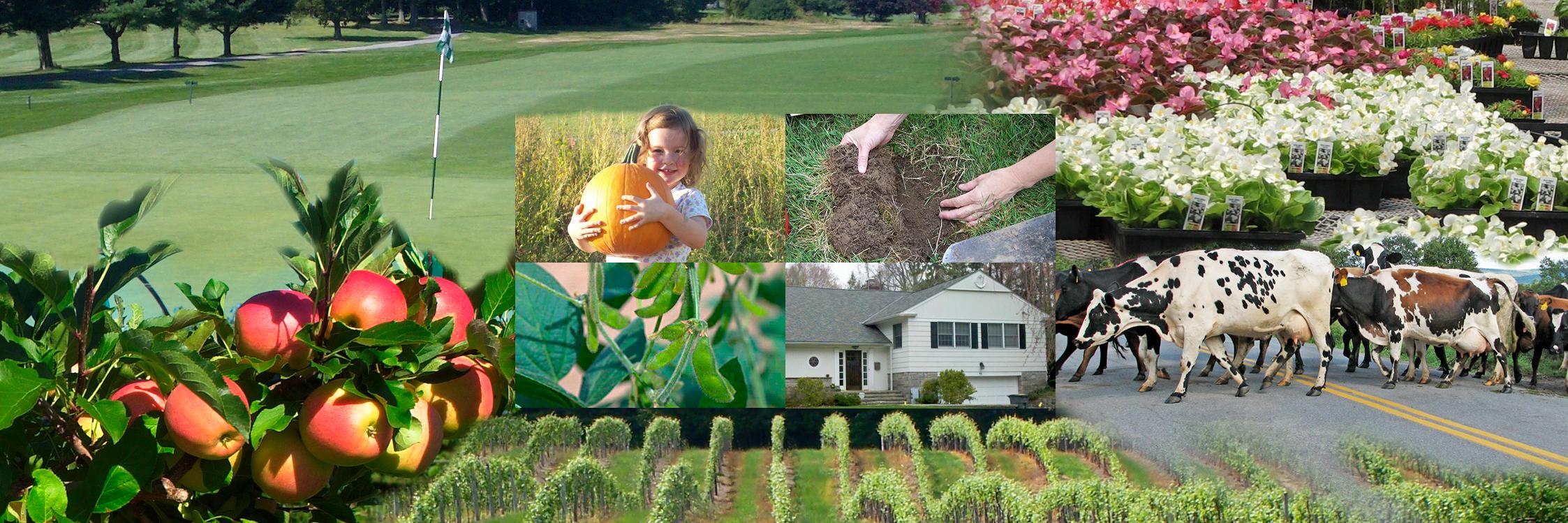 Cornell Integrated Pest Management's banner