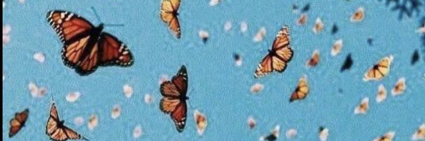 erikaanneeee's profile banner image