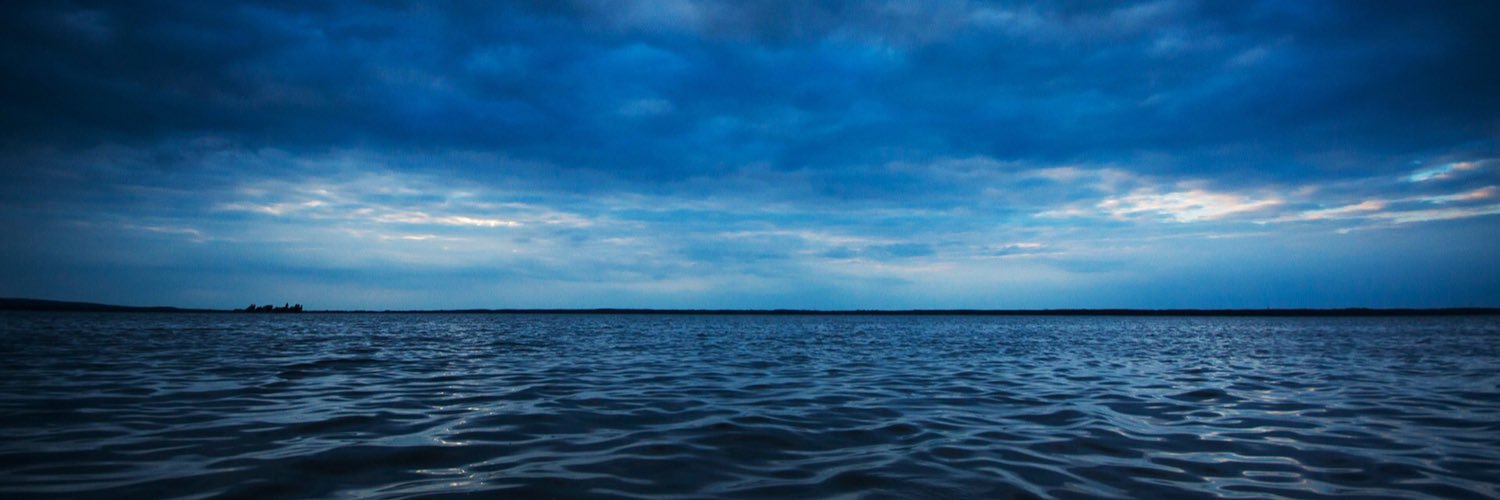 Pablo Alcaide banner