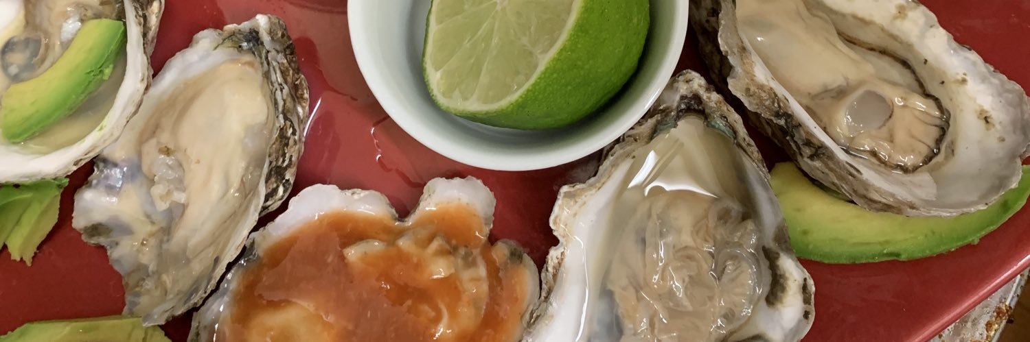 Isis - #RESIST DMS = BLOCK banner