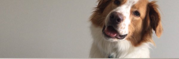 mrsjbcrum Profile Banner