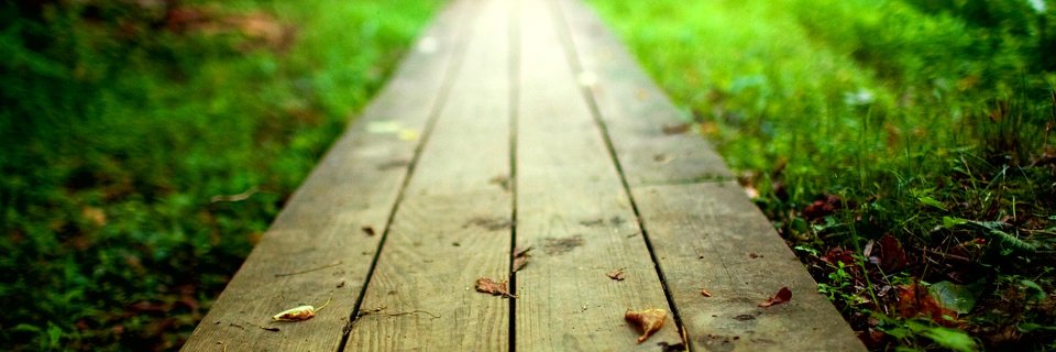 Beth Whitaker, PhD banner