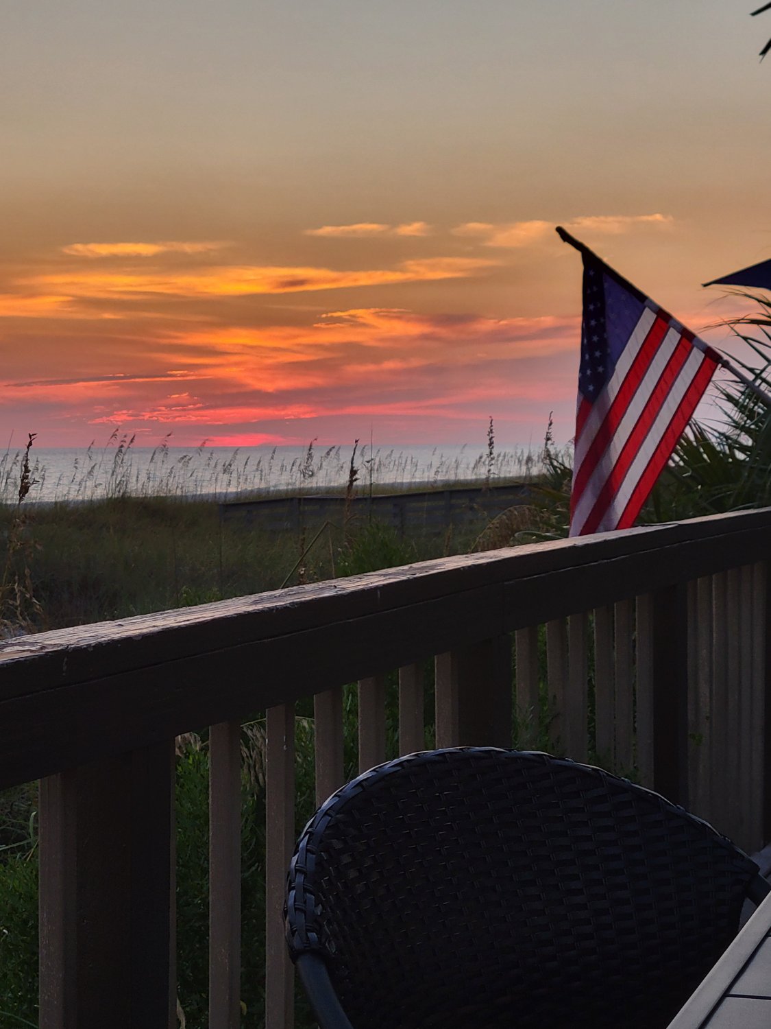 UnderDawg👊 banner