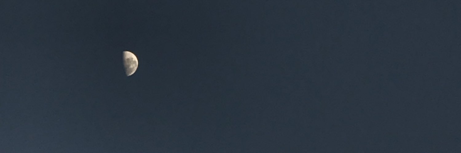 izazinelli's profile banner image
